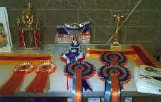 awards04.jpg (17421 bytes)